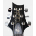 PRS S2 Custom 24 10th Anniversary PRS S2 Custom 24 10th Anniversary